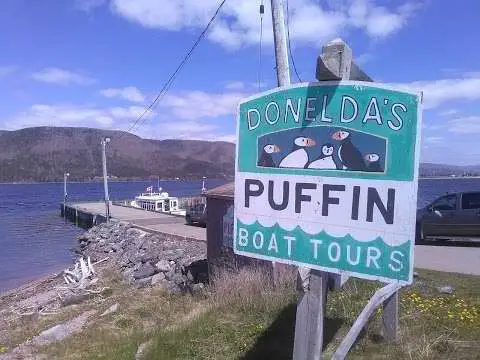 Donelda's Puffin Boat Tours
